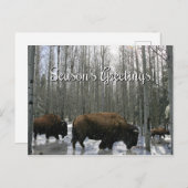 Die Grüße Postkarten der amerikanischen Nationalsa (Vorne/Hinten)