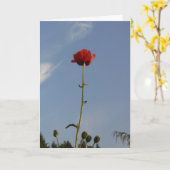 Die Grußkarte des Himmels Karte (Gelbe Blume)