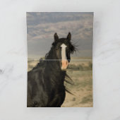 Die Grußkarte des Schwarzen Hengstes Karte (Innenseite)