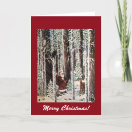 Die Grußkarte des Waldbesuchers Feiertagskarte