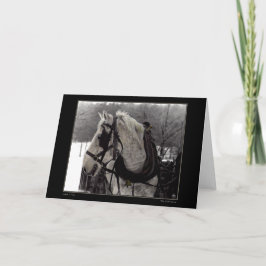 Die Grußkarte für das Pferd Karte