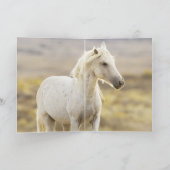 Die Grußkarte für das Wilde Pferd der Freiheit Karte (Innenseite)