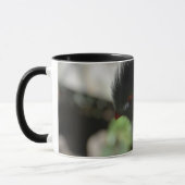 DIE GUINEA TURACO KAFFEE TASSE (Links)