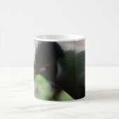DIE GUINEA TURACO KAFFEE TASSE (Mittel)