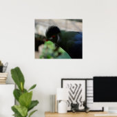 DIE GUINEA TURACO POSTER (Heimbüro)
