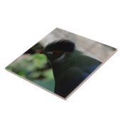 DIE GUINEA TURACO TIKART FLIESE (Seite)