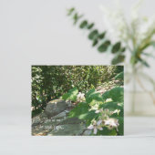 die gute Straße Postkarte (Stehend Vorderseite)
