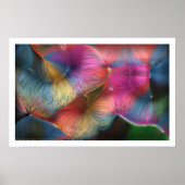 Die Haarfarbe Poster (Vorne)