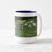 Die halben Dutzende Herumtollen-Tasse der Zweifarbige Tasse (VorderseiteRechts)