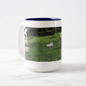 Die halben Dutzende Herumtollen-Tasse der Zweifarbige Tasse (Vorderseite Links)