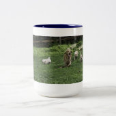 Die halben Dutzende Herumtollen-Tasse der Zweifarbige Tasse (Mittel)