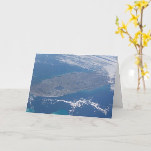 Die Halbinsel Florida. Karte (Gelbe Blume)