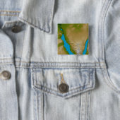 Die Halbinsel Sinai Button (Beispiel)