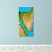 Die Halbinsel Sinai Leinwanddruck (Insitu (Holzboden))