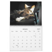 Die Haltung des mürrischen Engels Kalender (Jan 2027)