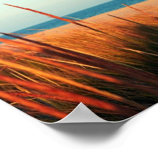 Die Hamptons Beach Long Island New York Poster (Ecke)