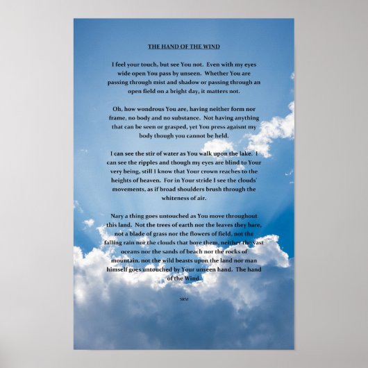 DIE HAND DES WINDES POSTER (Vorne)