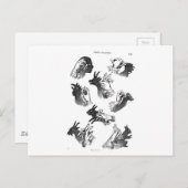 Die Händeschatten der Mauer Postkarte (Vorne/Hinten)