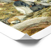 Die Harem Poster (Ecke)