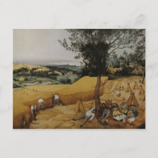 Die Harvester von Pieter Bruegel der Ältere Postkarte