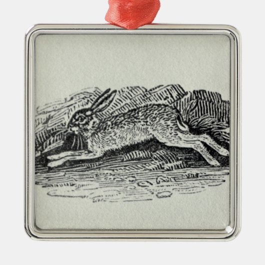 Die Hasen Ornament Aus Metall (Vorne)