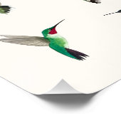 Die häufigsten Kolibris in den USA Poster (Ecke)