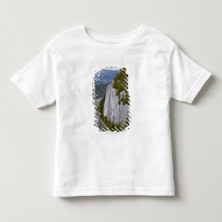 Die "Haupt" Arial Ansicht in Squamish Kleinkind T-shirt