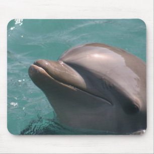 Die Hauptrolle spielen einer Delphin-Mausunterlage Mousepad