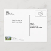 Die Hauptstadt von Missouri Postkarte (Rückseite)