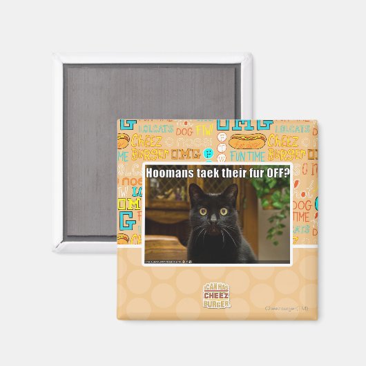 Die Häuser verziehen sich. Magnet (Vorderseite/Rückseite)