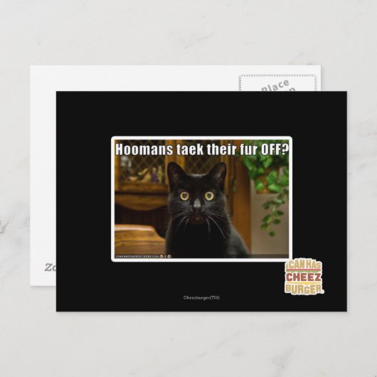 Die Häuser verziehen sich. Postkarte (Vorne/Hinten)