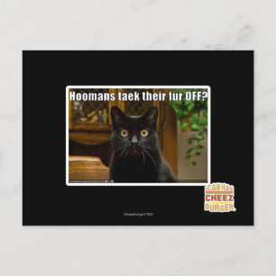 Die Häuser verziehen sich. Postkarte