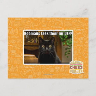 Die Häuser verziehen sich. Postkarte