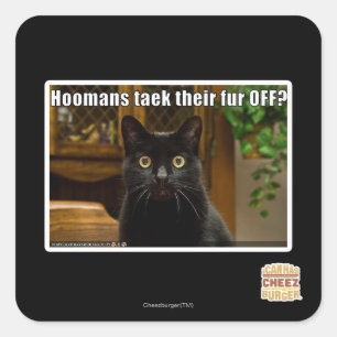 Die Häuser verziehen sich. Quadratischer Aufkleber