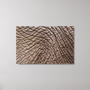 Die Haut des afrikanischen Elefanten (Loxodonta Leinwanddruck