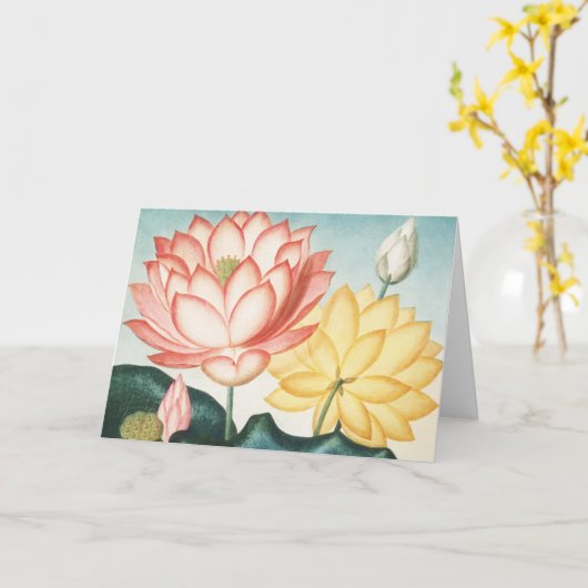 Die heilige ägyptische Bean Karte (Gelbe Blume)