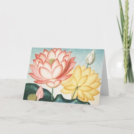 Die heilige ägyptische Bean Karte (Vorderseite)