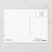 Die heilige Maria der sieben Trauern Postkarte (Rückseite)