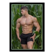 Die heißesten Hunks auf dem Planeten! Zeit für Gle