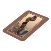 Die heißesten Hunks auf dem Planeten! Zeit für Gle Magnet (Linke Seite)