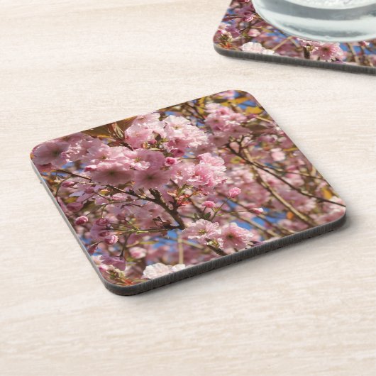 Die helle Frühlingsfarbe der Kirschblüte Getränkeuntersetzer (Linke Seite)