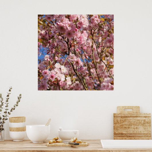 Die helle Frühlingsfarbe der Kirschblüte Poster (Küche)