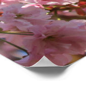 Die helle Frühlingsfarbe der Kirschblüte Poster (Ecke)