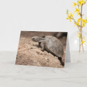 Die Herausforderung der Schildkröte Karte (Gelbe Blume)