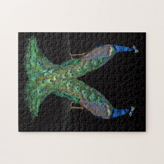 Die Herausforderung von zwei Pfauenpuzzle Puzzle (Horizontal)
