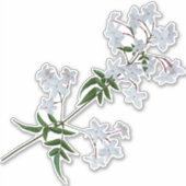 Die Herb Jasmine | Vinyl Sticker (Vorderseite)