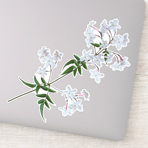 Die Herb Jasmine Vinyl Sticker