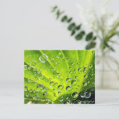 Die Herberge am Morgen Postkarte (Stehend Vorderseite)