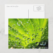 Die Herberge am Morgen Postkarte (Vorne/Hinten)