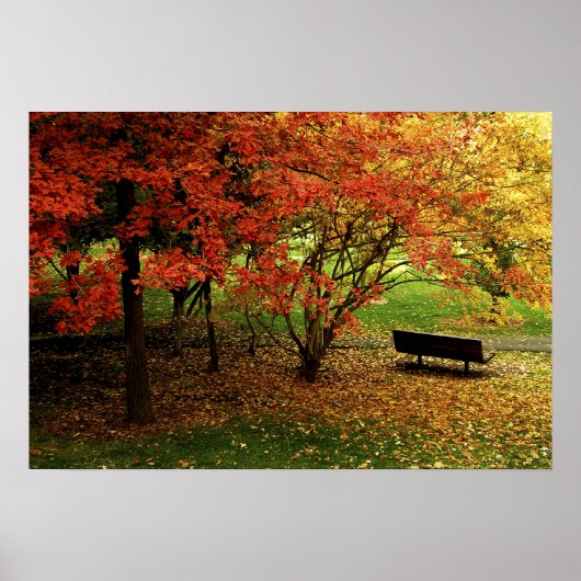 Die Herbstbank Poster (Vorne)
